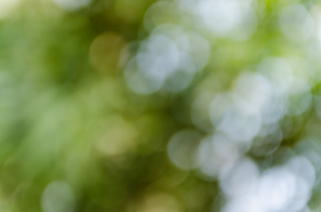 Green bokeh out of focus backgroundの写真素材