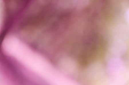 Violet and blue blur bokeh summer backgroundの写真素材