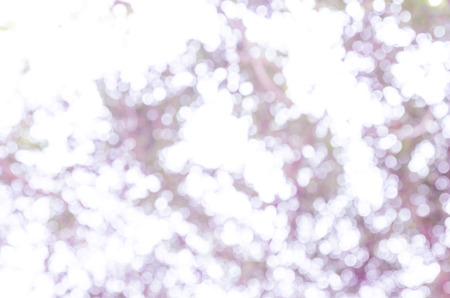 bokeh abstract light and blur backgrounds