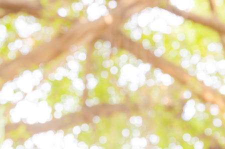 bokeh abstract light and blur backgrounds