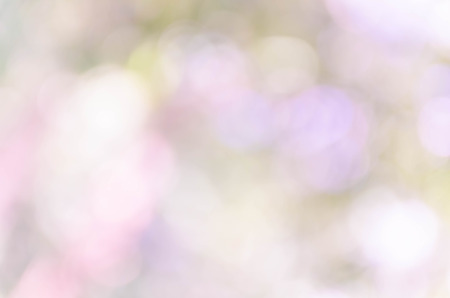 Blue bokeh out of focus background from nature forest