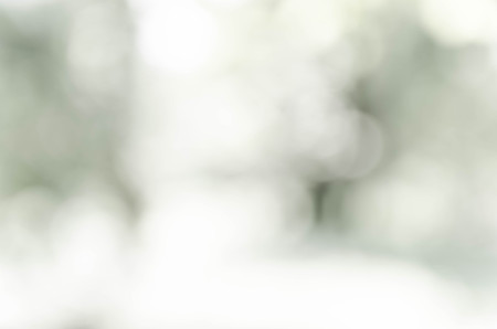 Gray bokeh out of focus background from nature forestの写真素材