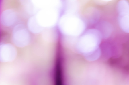 Violet purple bokeh out of focus background from nature forestの写真素材