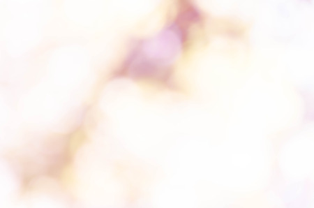 Violet purple bokeh out of focus background from nature forestの写真素材