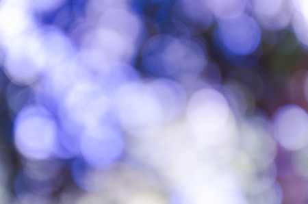 Blue bokeh out of focus background from nature forestの写真素材