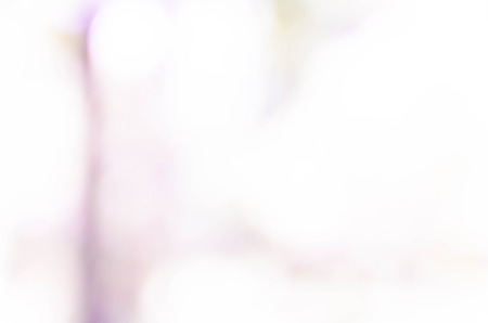 Blue bokeh out of focus background from nature forestの写真素材