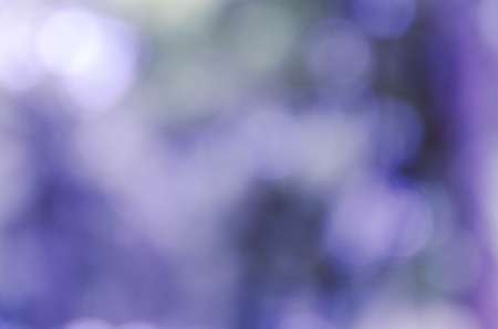 Blue bokeh out of focus background from nature forestの写真素材