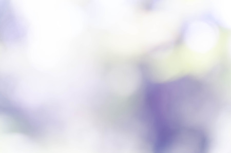 Blue bokeh out of focus background from nature forestの写真素材