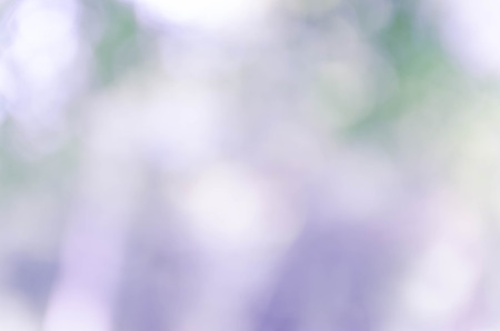 Blue bokeh out of focus background from nature forestの写真素材