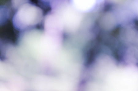 Blue bokeh out of focus background from nature forestの写真素材