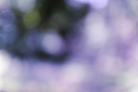 Blue bokeh out of focus background from nature forestの写真素材