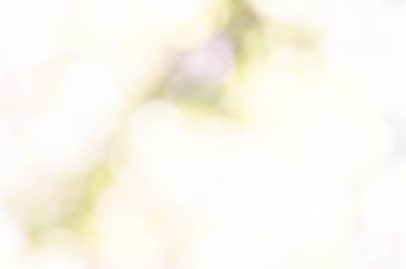 Blue bokeh out of focus background from nature forestの写真素材