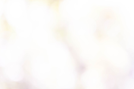 Blue bokeh out of focus background from nature forestの写真素材