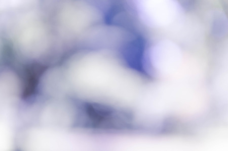 Blue bokeh out of focus background from nature forestの写真素材