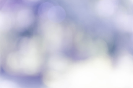 Blue bokeh out of focus background from nature forestの写真素材