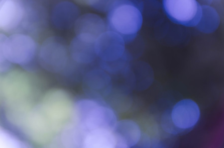 Blue bokeh out of focus background from nature forestの写真素材