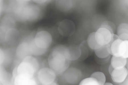 Black and White bokeh out of focus background from natureの写真素材