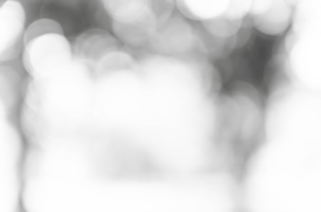 Black and White bokeh out of focus background from natureの写真素材