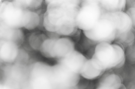 Black and White bokeh out of focus background from natureの写真素材