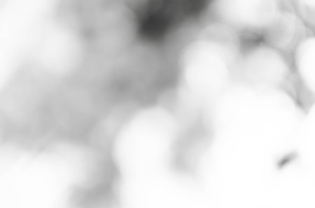 Black and White bokeh out of focus background from natureの写真素材