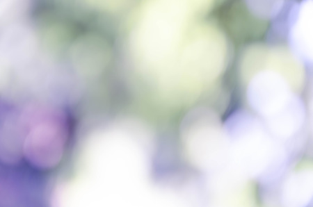 Blue bokeh out of focus background from nature forestの写真素材