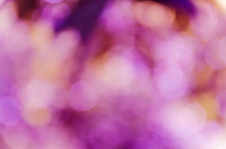 Violet purple bokeh out of focus background from nature forestの写真素材
