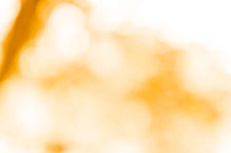 Pink and sweet bokeh out of focus background from nature forestの写真素材