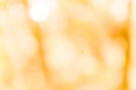 Pink and sweet bokeh out of focus background from nature forest