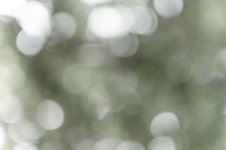 Gray bokeh out of focus background from nature forestの写真素材