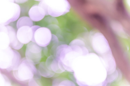 Blue bokeh out of focus background from nature forestの写真素材