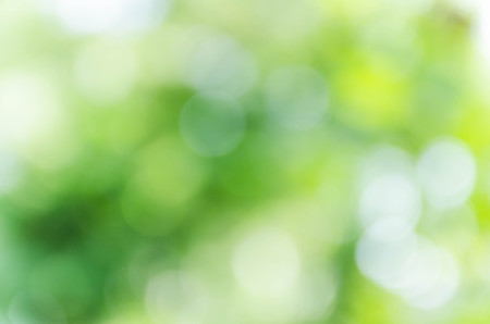 Green bokeh out of focus background from nature forestの写真素材