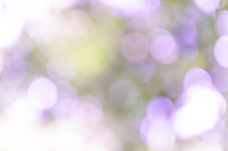 Blue bokeh out of focus background from nature forestの写真素材