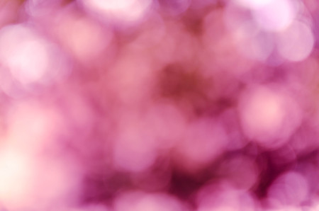 Violet purple bokeh out of focus background from nature forestの写真素材