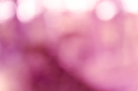 Violet purple bokeh out of focus background from nature forestの写真素材