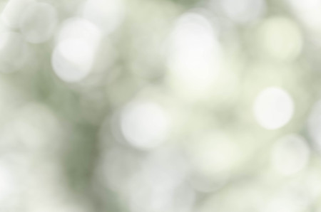 Gray bokeh out of focus background from nature forestの写真素材