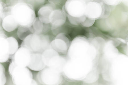Gray bokeh out of focus background from nature forestの写真素材