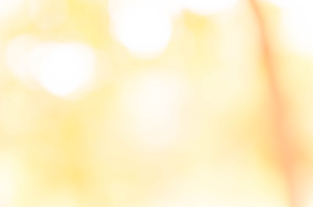 yellow bokeh background from nature under tree shadeの写真素材