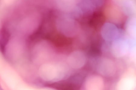 Violet purple bokeh out of focus background from nature forestの写真素材