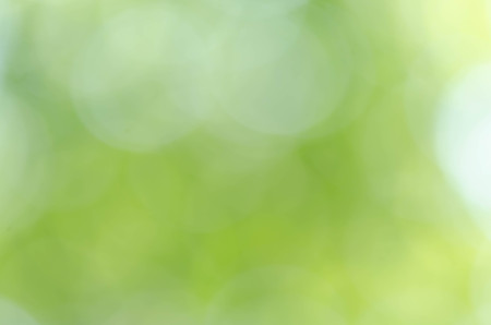green bokeh backgroundの写真素材