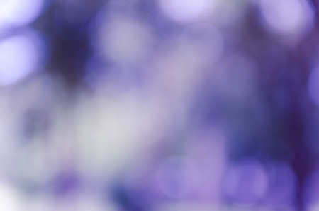 Blue bokeh out of focus background from nature forest