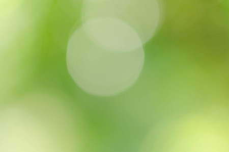 Abstract natural green bokeh backgroundの写真素材