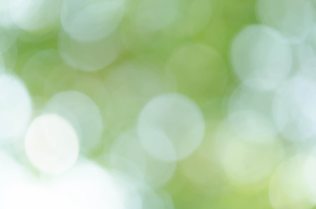 Green bokeh out of focus background from nature forestの写真素材