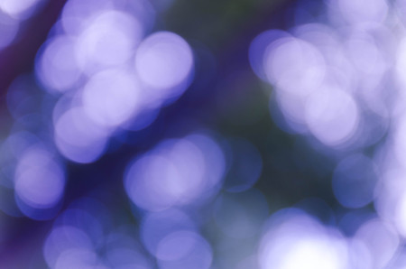 Blue bokeh out of focus background from nature forestの写真素材