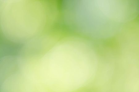Abstract natural green bokeh backgroundの写真素材