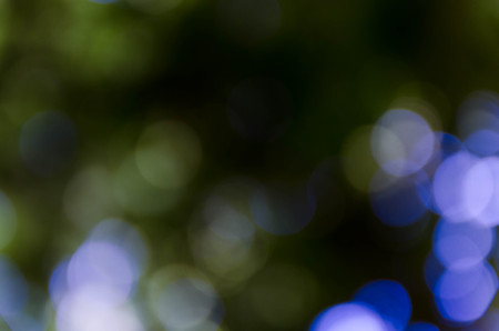 Blue bokeh out of focus background from nature forestの写真素材