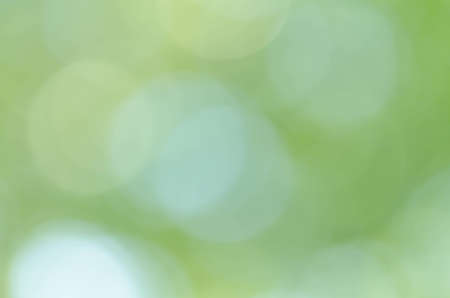 Green bokeh light background blurの写真素材
