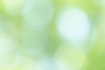 Green bokeh light background blurの写真素材