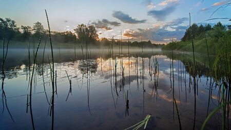 Early morning on the river. Reflection of clouds in the water. Reeds in the foreground.の写真素材