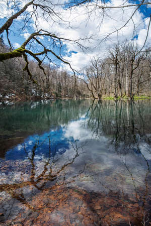 View of the lake in early spring. Clear water. Reflection of clouds and trees in the water mirror. Montenegro.の写真素材