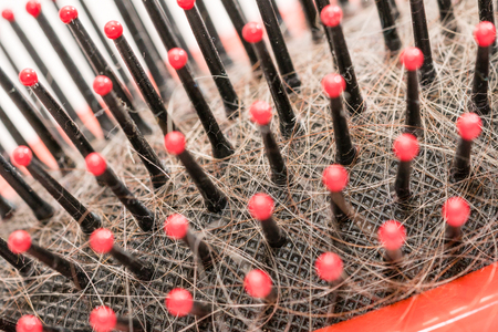 Closeup of dirty used hairbrush with visible dandruff and hair, hygiene concept,の写真素材